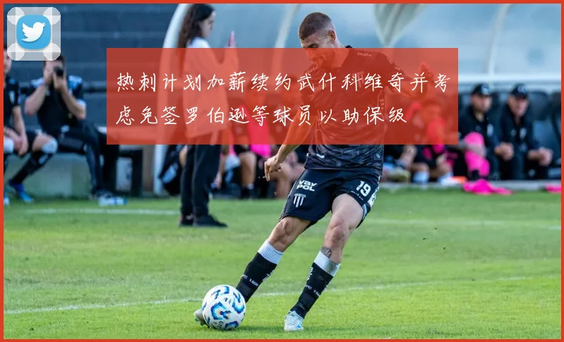 热刺计划加薪续约武什科维奇并考虑免签罗伯逊等球员以助保级