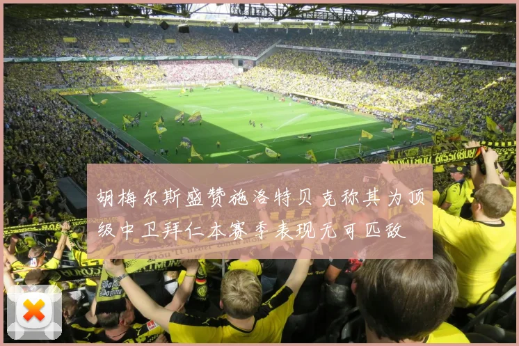 胡梅尔斯盛赞施洛特贝克称其为顶级中卫拜仁本赛季表现无可匹敌