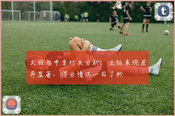 文班与申京对决分析：主防表现差异显著，得分情况一目了然